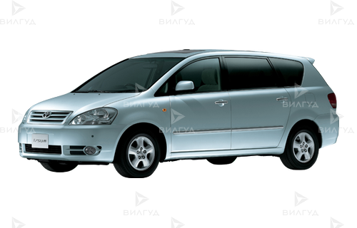Замена масла в переднем и заднем дифференциале Toyota Ipsum в Волгограде