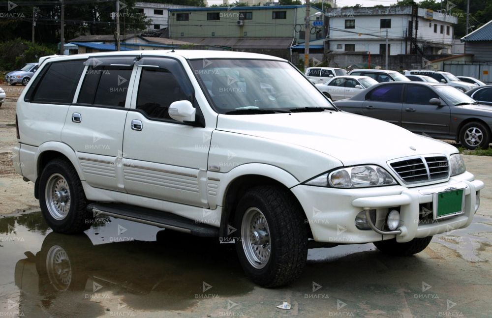 Диагностика ошибок сканером Ssangyong Musso в Волгограде